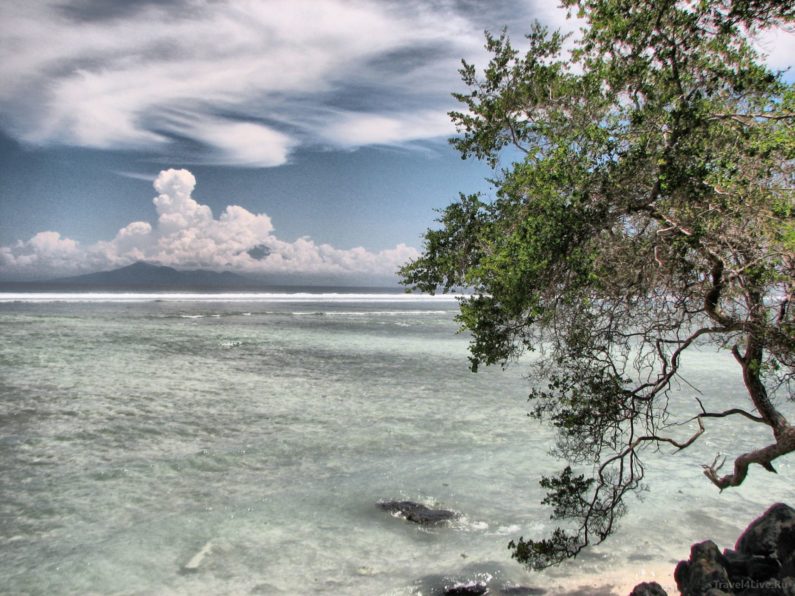 Indonesia 2009 1-21